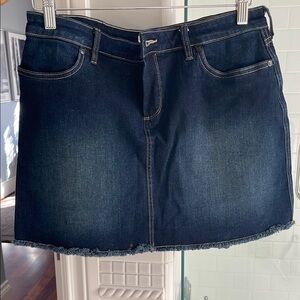 Carve Designs Indigo Mini Skirt